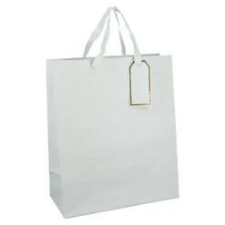 Best Geschenktüte Prägung, Mintgrün, 25.4 X 30.5 Cm Geschenkverpackung