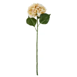 Online Hortensie Antik, Creme, 70 Cm Vasen & Kunstblumen|Weihnachtsdeko