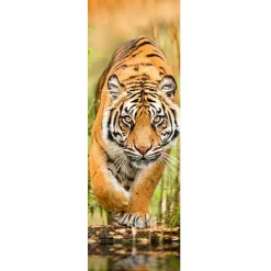 Sale Jumboposter Big Tiger Walking, Nr. 33 Poster