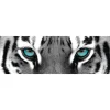 Hot Jumboposter Blue Tiger Eyes, Nr. 16 Poster