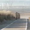 Jumboposter Dunes, Nr. 1 Poster