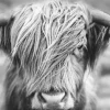 Clearance Jumboposter Highlander Landscape, Nr. 38 Poster|Weihnachtsgeschenke