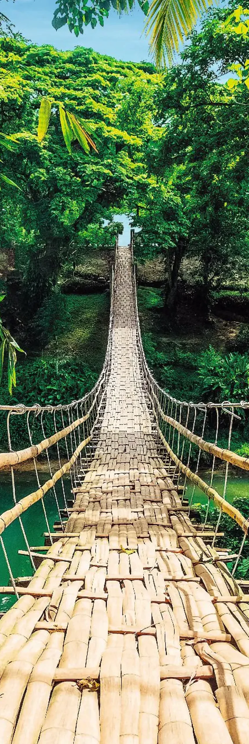 Hot Jumboposter Jungle Bridge, Nr. 37 Poster