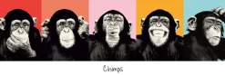 Best Jumboposter The Chimp - Pop, Nr. 36 Poster