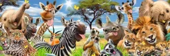 Hot Jumboposter Wildlife Funnies, Nr. 28 Poster