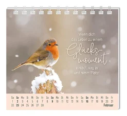 Discount Mini-Tischkalender 2025, Eine Extraportion Glück Kalender & Planer|Weihnachtsgeschenke