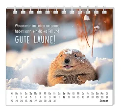 Sale Mini-Tischkalender 2025, Happymacher Kalender & Planer|Weihnachtsgeschenke