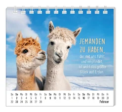 Sale Mini-Tischkalender 2025, Happymacher Kalender & Planer|Weihnachtsgeschenke