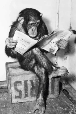 Clearance Poster Ape News, Nr. 159 Poster