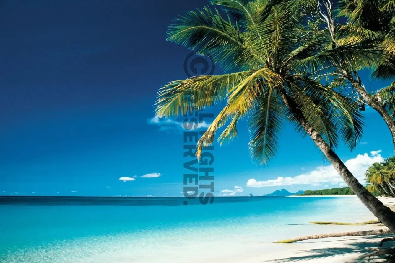 Discount Poster Beach - Morning, Nr. 67 Poster