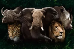 Online Poster Big Five Of Africa, Nr. 219 Poster