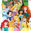 Poster Disney Princess, Nr. 162 Poster