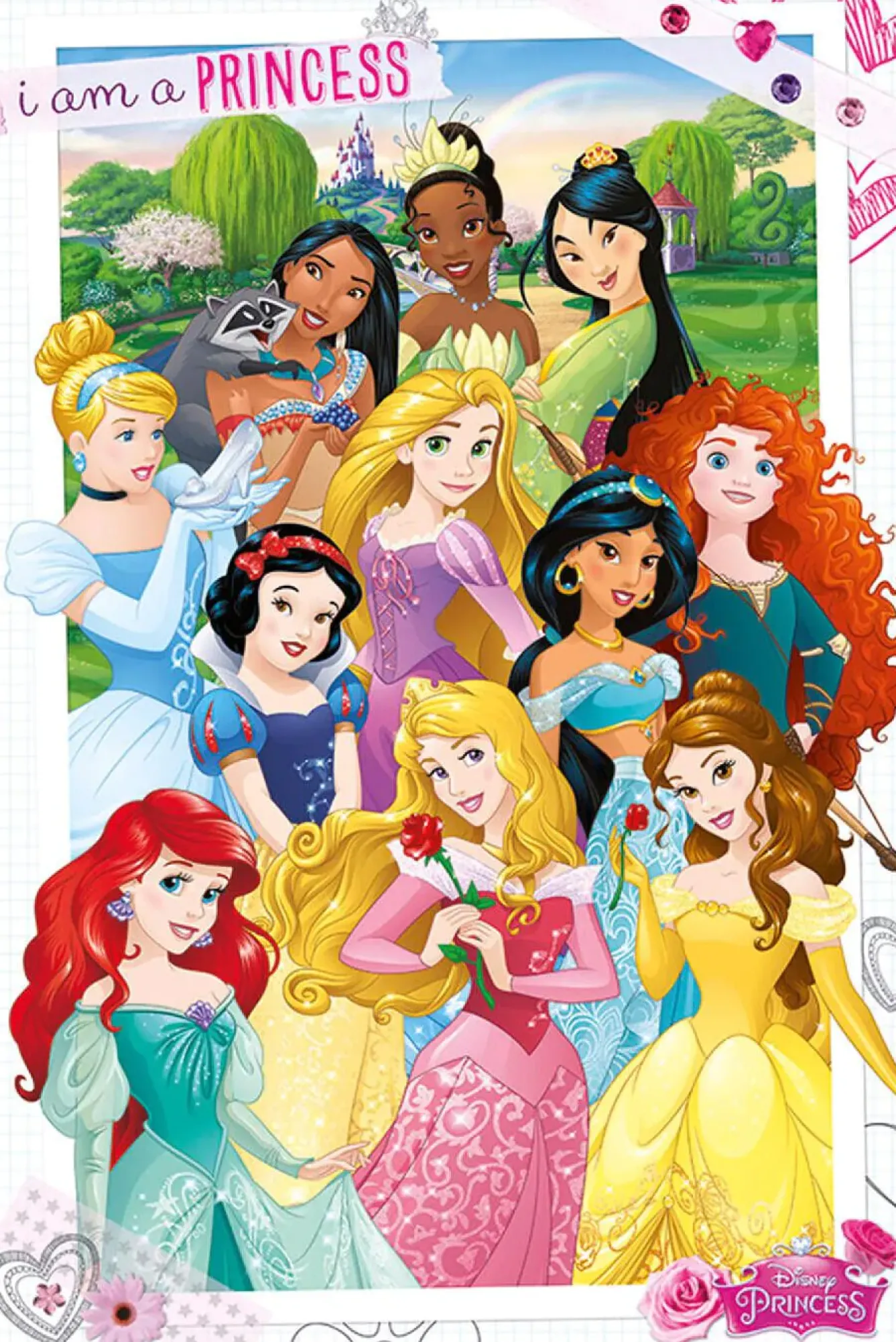 Poster Disney Princess, Nr. 162 Poster