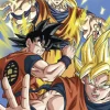 Poster Dragon Ball Z - Goku, Nr. 118 Poster|Weihnachtsgeschenke