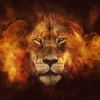 Discount Poster Flaming Lion, Nr. 98 Poster