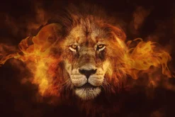 Discount Poster Flaming Lion, Nr. 98 Poster