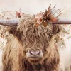 New Poster Floral Highlander, Nr. 3 Poster