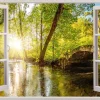 Clearance Poster Forest Window, Nr. 138 Poster
