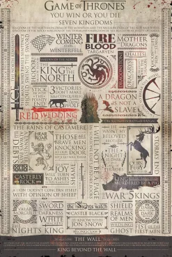 Online Poster Game Of Thrones Infographic, Nr. 213 Poster