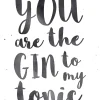 Poster Gin To Tonic, Nr. 110 Poster