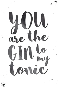 Poster Gin To Tonic, Nr. 110 Poster