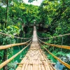 Poster Jungle Bridge, Nr. 117 Poster