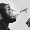 Hot Poster Monkey Joint Time, Nr. 226 Poster
