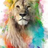 Online Poster Multicolor Lion, Nr. 94 Poster