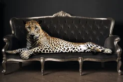 New Poster Panther Pose, Nr. 47 Poster