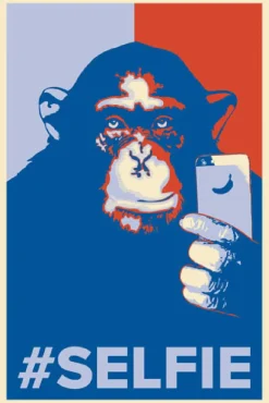 Outlet Poster Selfie Monkey, Nr. 199 Poster