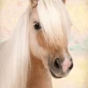 Hot Poster Sweet Horse, Nr. 198 Poster