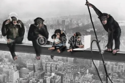 Sale Poster The Chimp - Girder, Nr. 166 Poster