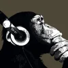 Outlet Poster The Chimp - Stereo, Nr. 155 Poster