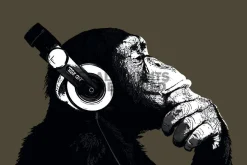 Outlet Poster The Chimp - Stereo, Nr. 155 Poster
