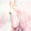 Hot Poster Unicorn Fluffy, Nr. 144 Poster