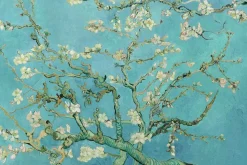 Hot Poster Van Gogh Amandelbloesem, Nr. 71 Poster