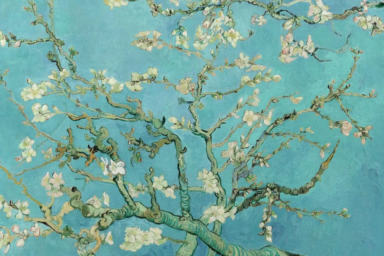 Hot Poster Van Gogh Amandelbloesem, Nr. 71 Poster