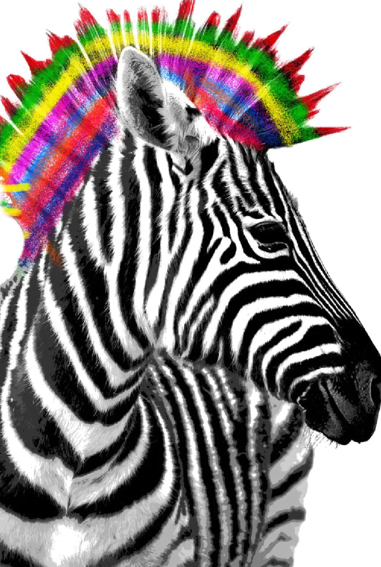 New Poster Zebra Punk, Nr. 238 Poster