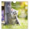 New Postkarten Kalender, 2025, Auf Leisen Pfoten Kalender & Planer|Weihnachtsgeschenke