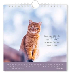 New Postkarten Kalender, 2025, Auf Leisen Pfoten Kalender & Planer|Weihnachtsgeschenke