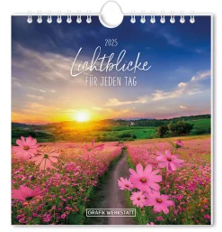 Discount Postkarten Kalender, 2025, Lichtblicke Kalender & Planer|Weihnachtsgeschenke