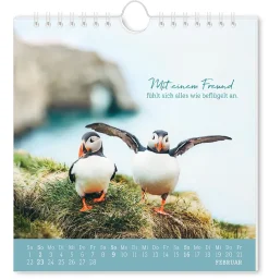 Clearance Postkarten Kalender, 2025, Strandgut Kalender & Planer|Weihnachtsgeschenke