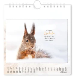 Clearance Postkarten Kalender, 2025,Traumtage Kalender & Planer|Weihnachtsgeschenke