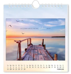 Clearance Postkarten Kalender, 2025,Traumtage Kalender & Planer|Weihnachtsgeschenke