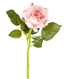 Sale Rose, 30 Cm, Apricot Tischdeko Hochzeit|Hochzeitsdeko