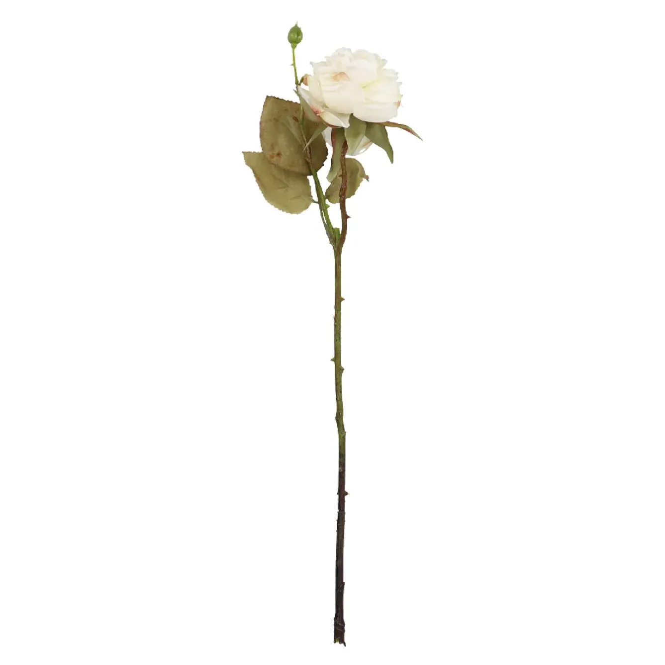 Rose Mathilda, Creme, 45 Cm Vasen & Kunstblumen|Herbstdeko