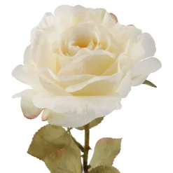 Best Rose Theresa, Creme, 63 Cm Vasen & Kunstblumen|Herbstdeko