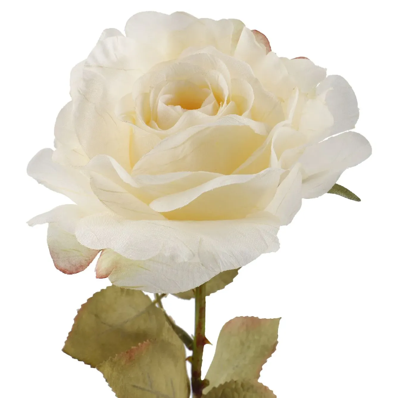 Best Rose Theresa, Creme, 63 Cm Vasen & Kunstblumen|Herbstdeko
