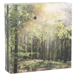 Online Soundbox Bewegungssensor, Wald, 12 Cm Geschenkideen|Gadgets