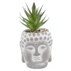 Clearance Sukkulente Buddhakopf, Grün/spitz, 15 Cm Outdoor & Garten